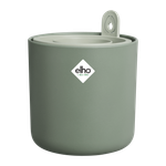 amazing avocado pot leaf green